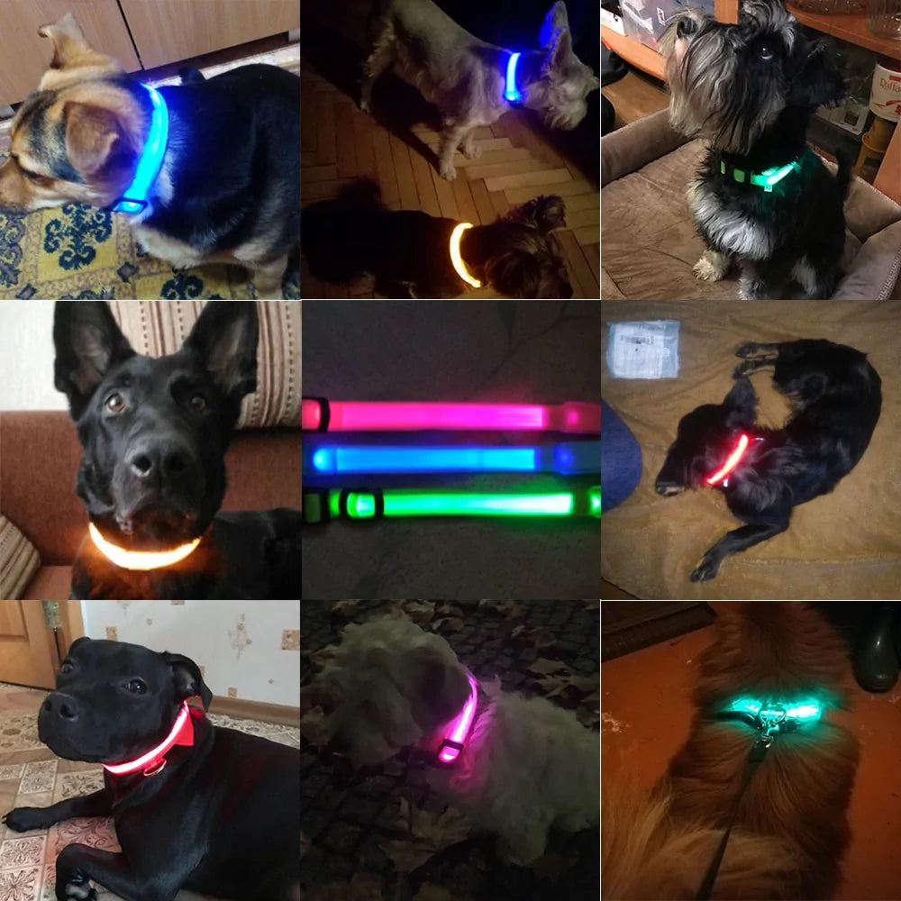 LED Dog Collar