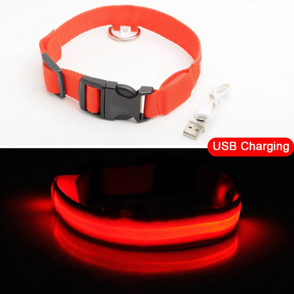 LED Dog Collar