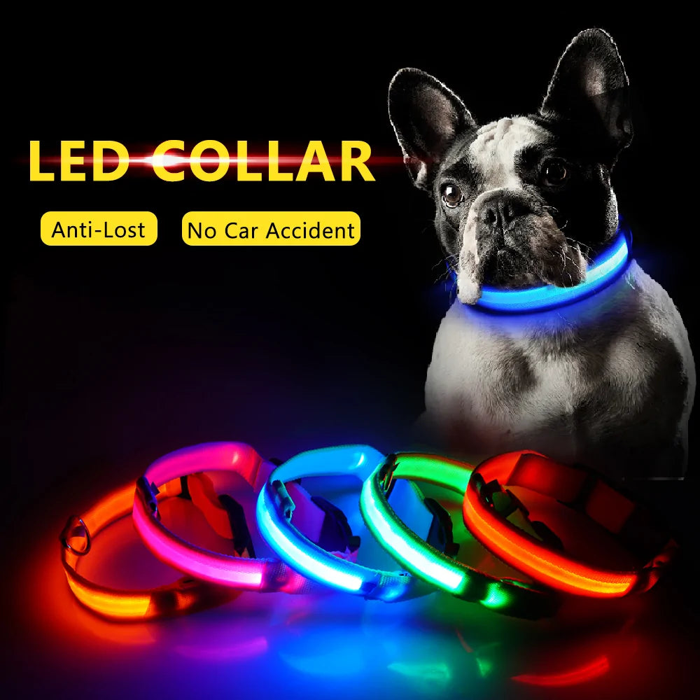 LED Dog Collar